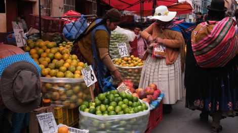 Crecimiento e inversión en Bolivia en el foro de la CAF